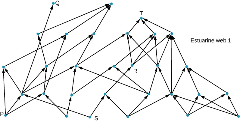 This figure shows four rows of blue dots represent organisms. Upward arrows connect organisms from the bottom level to the three upper levels. There are different letter points indicated, P and S are on the bottom level R is on the third, and T and Q are on the top most level.