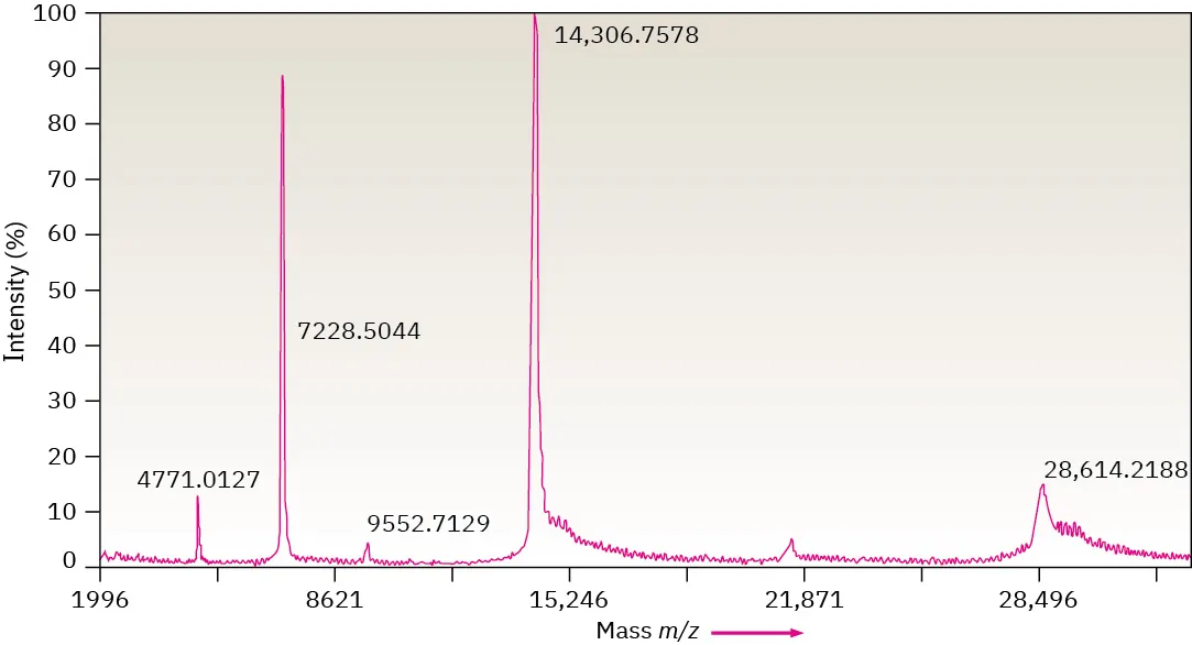 A mass spectrum with considerably more detail and much larger values of m / z than in previous images.
