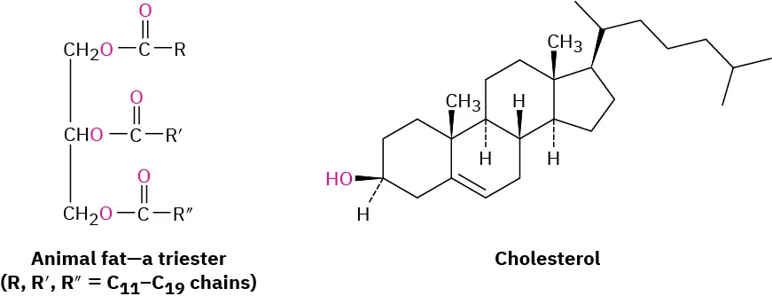 The first structure is an animal fat-a triester with R, R dash, and R double dash equal to carbon 11 to carbon 19 chains. The second structure is cholesterol.