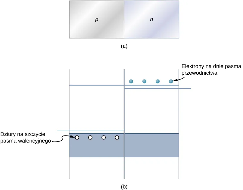 Na rysunku a znajdują się dwa prostokąty, jeden obok drugiego, stykające się bokami. Lewy prostokąt oznaczony jest jako p a prawy jako n. Rysunek b pokazuje u dołu pasmo walencyjne i u góry pasmo przewodnictwa. Po lewej stronie, w górnej części pasma walencyjnego, znajdują się dziury, opisane jako dziury przy wierzchołku pasma walencyjnego. Po prawej stronie, tuż powyżej dolnej krawędzi pasma przewodnictwa, znajdują się elektrony, opisane jako elektrony na dnie pasma przewodnictwa. Poziomy Fermiego (linie ciągłe) pokazane są powyżej dziur i poniżej elektronów.