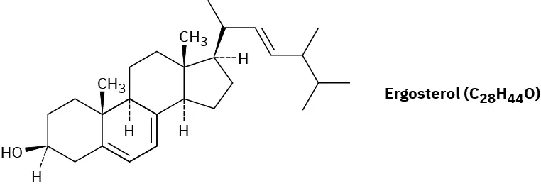 The wedge-dash structure of ergosterol that has the chemical formula C 28 H 44 O.