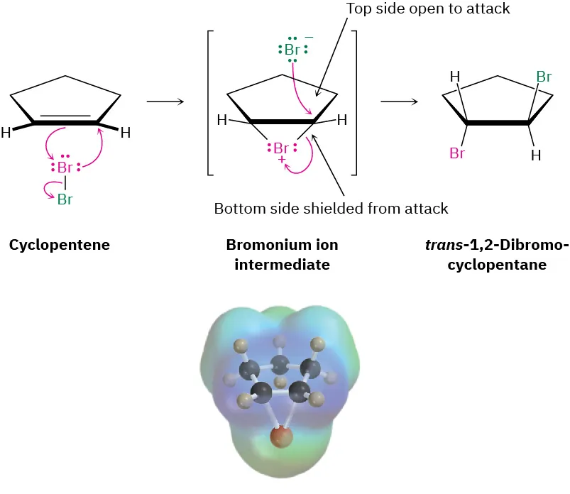 A reaction shows cyclopentene reacts with molecular bromine to form bromonium ion intermediate, which forms trans-1,2-dibromo-cyclopentane. The intermediate is also depicted by its electrostatic potential map.