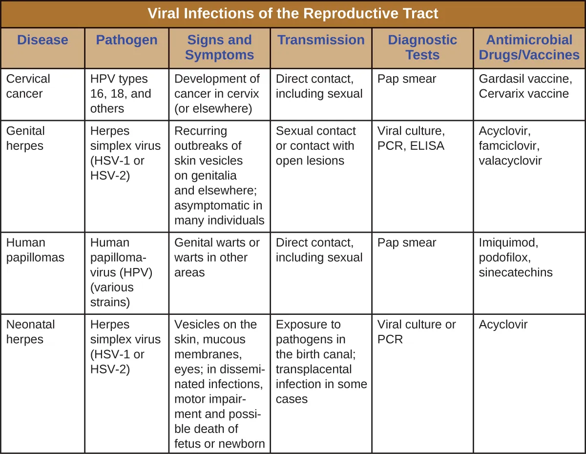 Table titled: Viral Infections of the Reproductive Tract. Description below.