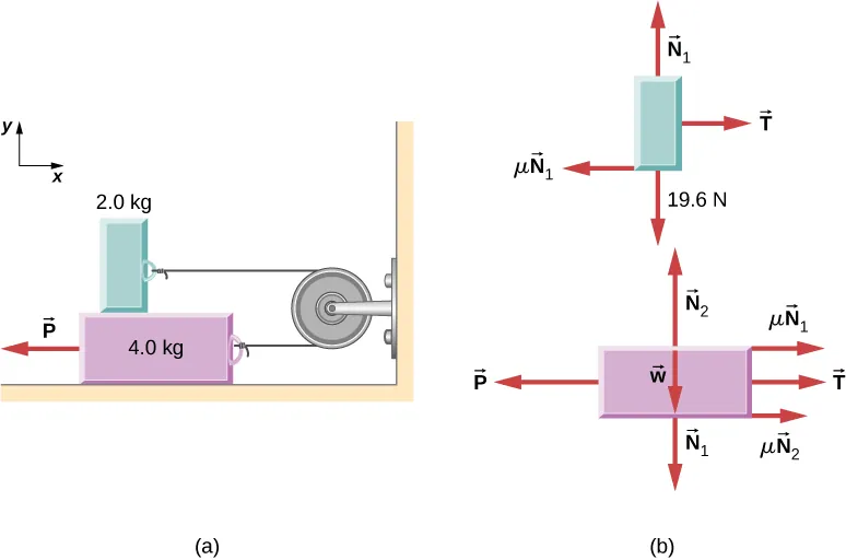 Figure (a) shows an illustration of a 4.0 kilogram block on a horizontal surface and a 2.0 kilogram block resting on top of it. A pulley is connected horizontally to a wall to the right of the blocks. The blocks are connected by a string that passes from one block, over the pulley, and to the other block so that the string is horizontal and to the right of each block. A force P pulls the lower block to the left. An x y coordinate system is shown, with positive x to the right and positive y up. Figure (b) shows the free body diagrams of the blocks. The upper block has forces mu times vector N sub 1 to the left, vector T to the right, 19.6 N vertically down, and vector N sub 1 up.  The lower block has forces mu times vector N sub 1 to the right, mu times vector N sub 2 to the right, Vector P to the left, vector T sub i to the right, Vector N sub 1 vertically down, weight w down, and vector N sub 2 up.