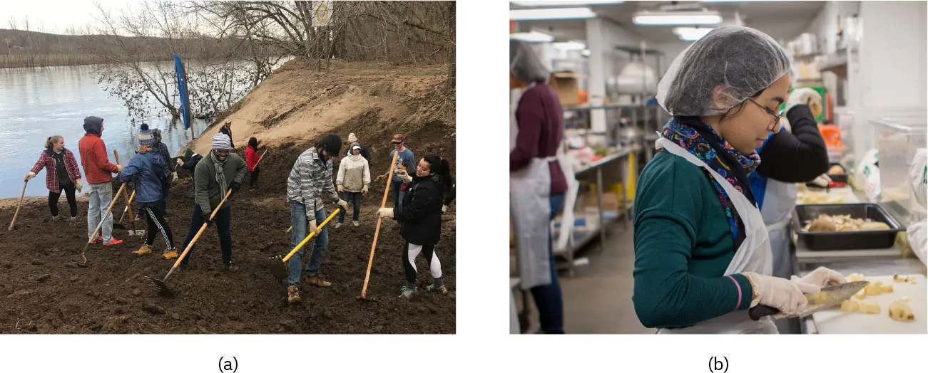 Photo of (a) group of people raking the ground by a lake and (b) an individual wearing a hairnet and apron chopping food in a service kitchen.