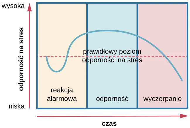 Wykres przedstawia zależność odporności na stres od czasu. Oś X obrazuje odporność na stres (niską do wysokiej), a oś Y - czas. 