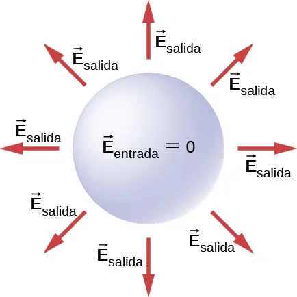 Se muestra un círculo marcado vector E subíndice dentro igual a cero. Las flechas que lo rodean irradian hacia el exterior. Estas están marcadas vector E subíndice fuera.