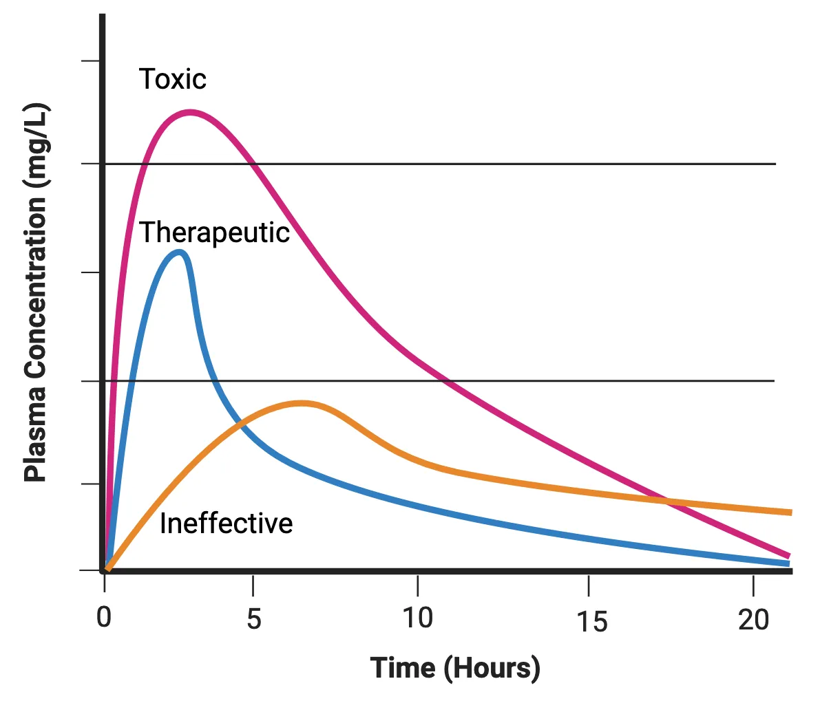 Graph of plasma concentration (ng/L, y axis) versus time (hours). 3 curves show the plasma concentration of a drug over time for low, middle and high dose, revealing different absorption rates. Only the middle curve shows plasma concentrations within the therapeutic range (above “ineffective”) without inducing toxic effects.