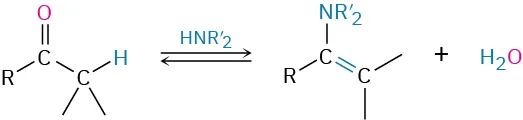 A carbonyl with one R group and one substituent with an alpha hydrogen reacts with H N R prime 2 to give an enamine.