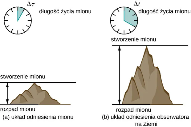Rysunek a, wykonany w układzie odniesienia mionu, pokazuje zegar analogowy wskazujący okres Δτ, podpisany „długość życia mionu”. Pod zegarem znajduje się rysunek wzgórza wraz z dwoma poziomymi liniami: na szczycie opisanej „stworzenie mionu” oraz przy podstawie opisanej „rozpad mionu”. Rysunek b, wykonany w układzie odniesienia ziemi, zawiera te same elementy, z tym, że zegar pokazuje dłuższy czas opisany Δt, a rysunek wzgórza jest wyższy.