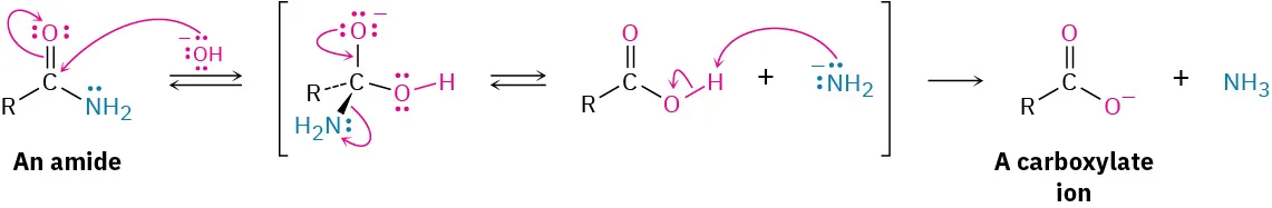 The curly arrow mechanism for the base-mediated hydrolysis of an amide to a carboxylate ion and ammonia. The tetrahedral intermediate has carbon single-bonded to four groups: R, amine, hydroxyl, and O carrying negative charge.