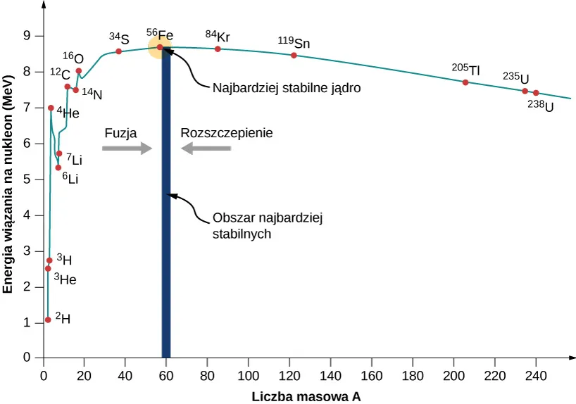 Wykres zależności energii wiązania na nukleon, w MeV, od liczby masowej. Wykres zaczyna się w pobliżu punktu (2,1) i wznosi się do maksimum w okolicy pierwiastka 56 - Fe, który ma wartość energii wiązania pomiędzy 8 a 9 MeV. Następnie wykres opada do wartości ok. 7 MeV. 56 Fe jest najbardziej stabilnym jądrem. Pionowy pas wokół wartości A = 60 jest opisany jako obszar bardzo stabilnych jąder. Po obu stronach tego pasa znajdują się skierowane w jego kierunku strzałki. Lewa podpisana jest: fuzja, a prawa: rozszczepienie.