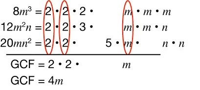 Factorization of 8m³, 12m²n, and 20mn² showing shared factors 2 and m circled in red and the greatest common factor (GCF) calculated as 2 × 2 × m = 4m.
