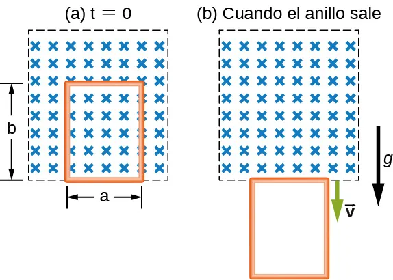 La figura A muestra un bucle rectangular con los lados a y b en una región de campo magnético uniforme que es perpendicular al área encerrada por el bucle y horizontal a la superficie de la Tierra. La figura B muestra un bucle rectangular que debido a la fuerza de la gravedad dejó una región de campo magnético uniforme.