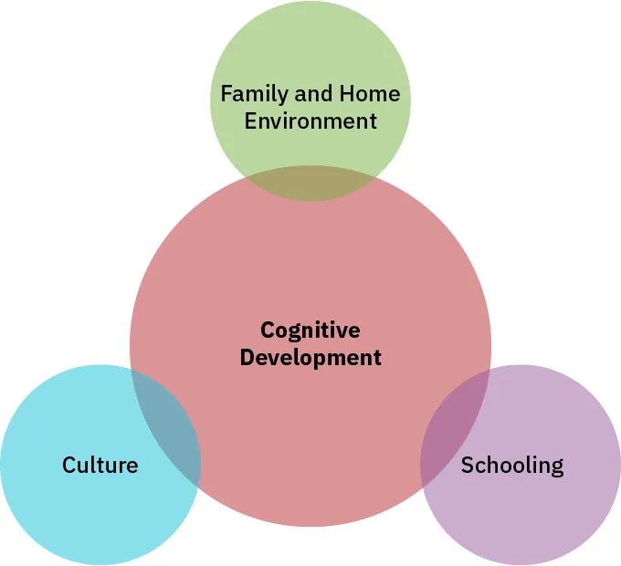 Overlapping circles with: Family and Home Environment, Culture, Schooling, and Cognitive Development.