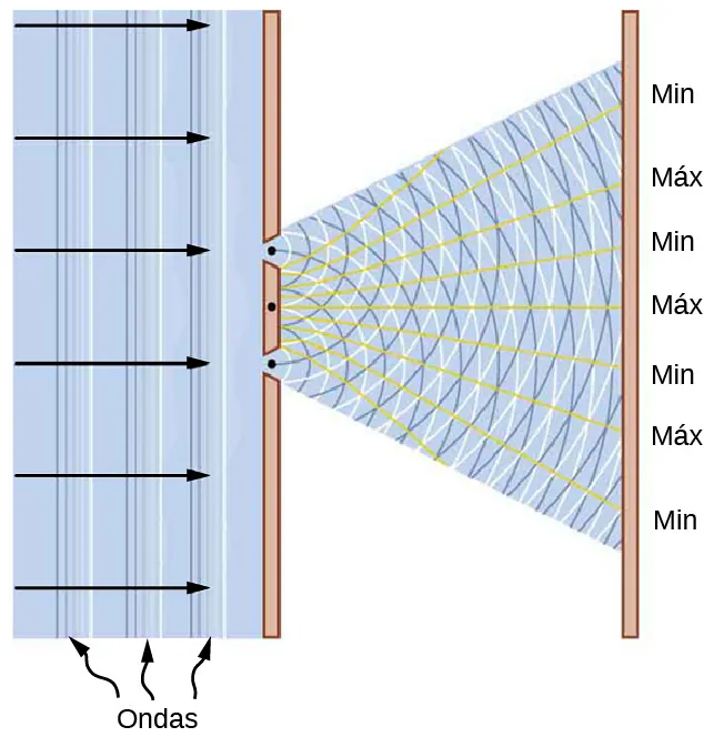 La imagen es el esquema del experimento de la doble rendija de Young. Las ondas paralelas inciden en una pantalla opaca con dos pequeñas rendijas. En las posiciones de estas rendijas se generan dos nuevas ondas. Viajan desde los orígenes en las rendijas y se encuentran en la pantalla de visualización colocada a la derecha de las rendijas creando un número de combinaciones en fase, marcadas como "Max", y de amplitud cero, marcadas como "Min".