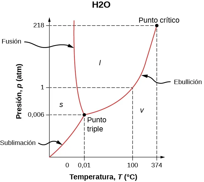 Gráfico de la presión P en atmósfera versus la temperatura T en grados Celsius para el agua. La curva comienza subiendo y dirigiéndose hacia la derecha hasta un punto identificado como punto triple. Esto es a 0,006 atm y 0,01 grados Celsius. A partir de aquí, la curva diverge en dos ramas. Una va hacia arriba y hacia la izquierda y es casi vertical. La otra va hacia arriba y hacia la derecha. En la rama que va hacia arriba y hacia la derecha hay un punto a 1 atm y 100 grados Celsius. Más arriba en la misma rama hay un punto identificado como punto crítico. Esto es a 218 atm y 374 grados Celsius. El área a la izquierda de la rama izquierda está identificada como sólida. La zona entre dos ramas está identificada como líquido. La zona a la derecha de la rama derecha está identificada como vapor. La curva de la parte inferior izquierda del punto triple está identificada como sublimación, la rama de la parte superior izquierda del punto triple está identificada como fusión y la rama de la parte superior derecha del punto triple está identificada como ebullición.