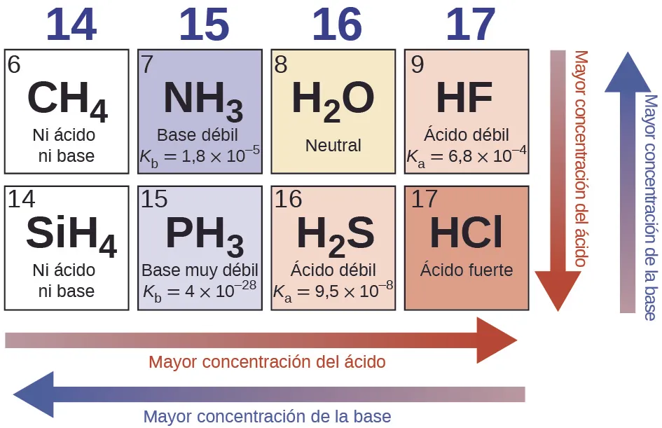 Este diagrama tiene dos filas y cuatro columnas. Las flechas rojas apuntan hacia la izquierda en la parte inferior de la figura y hacia abajo en el lado derecho y están etiquetadas como "Aumento de la fuerza del ácido". Las flechas azules apuntan hacia la izquierda en la parte inferior y hacia arriba en la parte derecha de la figura y están etiquetadas como "Aumento de la fuerza de la base". La primera columna tiene la etiqueta 14 en la parte superior y hay dos cuadrados blancos debajo. El primero tiene el número 6 en la esquina superior izquierda y la fórmula C H subíndice 4 en el centro junto con la designación Ni ácido ni base. El segundo cuadrado contiene el número 14 en la esquina superior izquierda, la fórmula C H subíndice 4 en el centro y la designación Ni ácido ni base. La segunda columna tiene la etiqueta 15 en la parte superior y hay dos cuadrados azules debajo. El primero tiene el número 7 en la esquina superior izquierda y la fórmula N H subíndice 3 en el centro junto con la designación Base débil y K subíndice b igual a 1,8 por 10 superíndice 5 negativo. El segundo cuadrado contiene el número 15 en la esquina superior izquierda, la fórmula P H subíndice 3 en el centro y la designación Base muy débil y K subíndice b igual a 4 por 10 superíndice 28 negativo. La tercera columna tiene la etiqueta 16 en la parte superior y hay dos cuadrados debajo. El primero está sombreado en marrón claro y tiene el número 8 en la esquina superior izquierda y la fórmula H subíndice 2 O en el centro junto con la designación de neutral. El segundo cuadrado está sombreado en rosa, contiene el número 16 en la esquina superior izquierda, la fórmula H subíndice 2 S en el centro y la designación Ácido débil y K subíndice a igual a 9,5 por 10 superíndice 8 negativo. La cuarta columna tiene la etiqueta 17 en la parte superior y hay dos cuadrados debajo. El primero está sombreado en rosa, tiene el número 9 en la esquina superior izquierda y la fórmula H F en el centro junto con la designación Ácido débil y K subíndice a igual a 6,8 por 10 superíndice 4 negativo. El segundo cuadrado está sombreado de un rosa más intenso, contiene el número 17 en la esquina superior izquierda, la fórmula H C l en el centro y la designación Ácido fuerte.