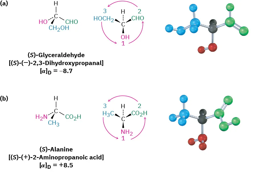 The structures and ball-and-stick models of (S)-Glyceraldehyde [(S)-(minus)-2,3-dihydroxypropanal] and (S)-alanine [(S)-(plus)-2-aminopropanoic acid with their [alpha] D values equals minus 8.7 and plus 8.5, respectively.