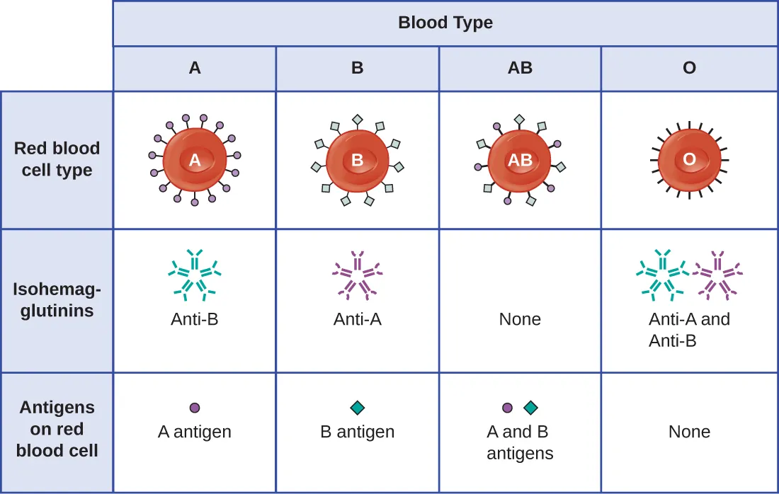Table of Blood Types. Descripion below.