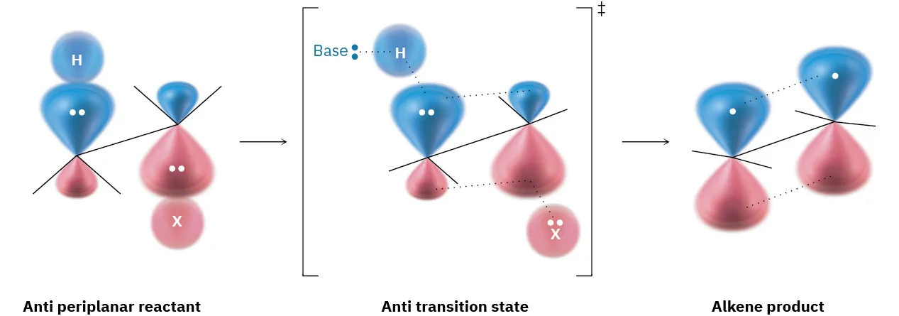 Orbital representation of E 2 reaction. Anti periplanar reactant reacts with base and forms anti transition state which further forms alkene as the product.