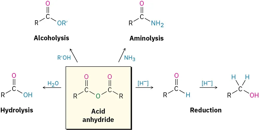 The reaction scheme shows conversion of an acid anhydride to a carboxylic acid using water (hydrolysis), ester using alcohol (alcoholysis), amide using ammonia (aminolysis), aldehyde and primary alcohol using hydride ions (reduction).