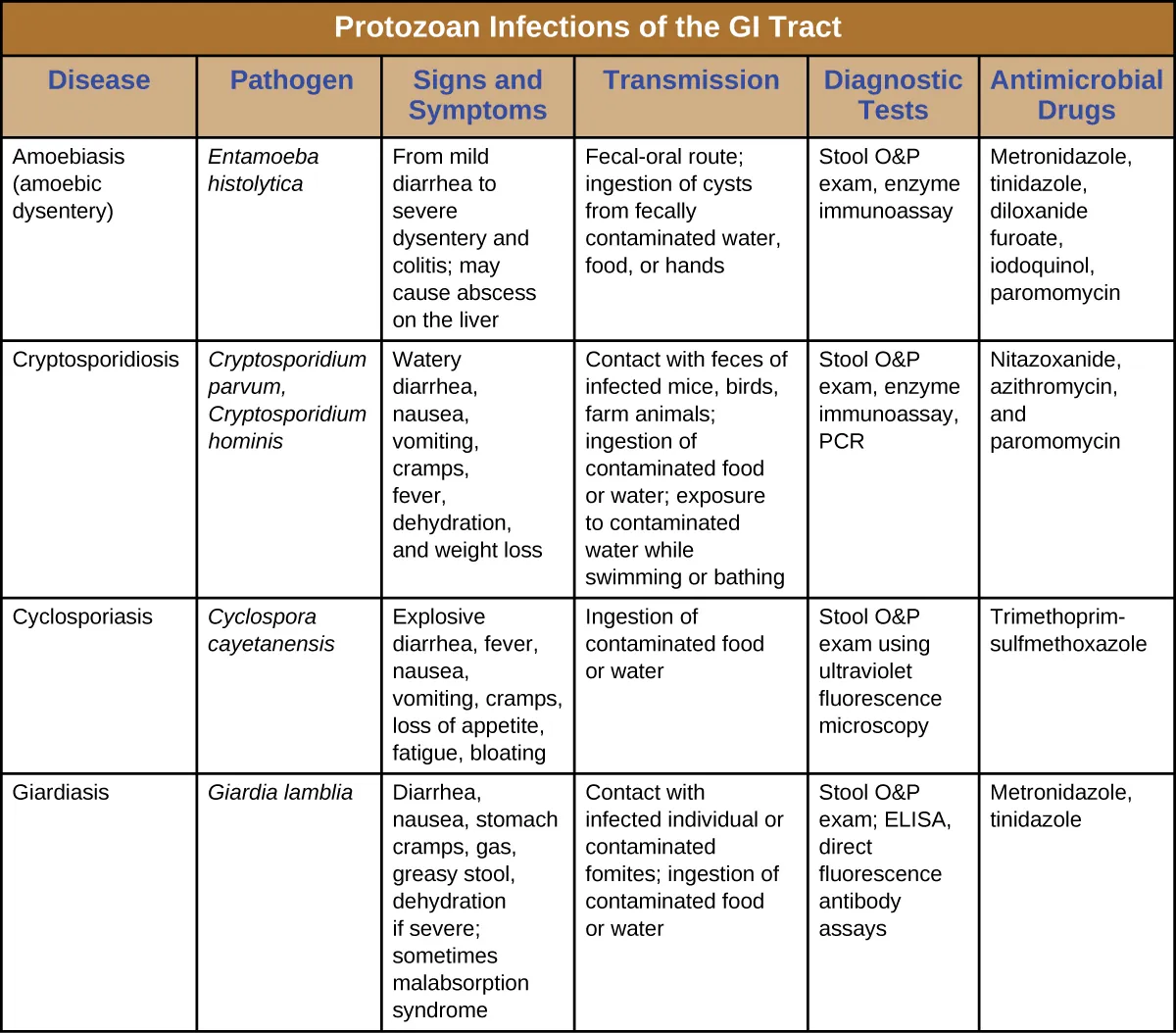 Table titled: Protozoan Infections of the GI Tract. Description below.
