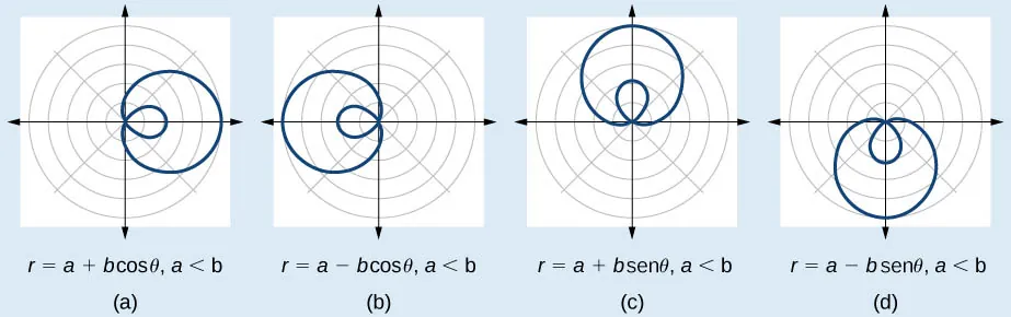 Gráfico de cuatro caracoles de Pascal de lazo interno, uno al lado del otro. (A) es r = a + bcos(theta), a < b. Se extiende hacia la derecha. (B) es a – bcos(theta), a < b. Se extiende hacia la izquierda. (C) es r = a + bsen(theta), a < b. Se extiende hacia arriba. (D) es r = a – bsen(theta), a < b. Se extiende hacia abajo.