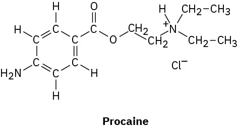 The line-bond structure of procaine.