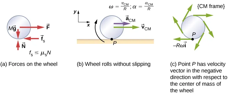 Figure a shows a free body diagram of a wheel, including the location where the forces act. Four forces are shown: M g is a downward force acting on the center of the wheel. N is an upward force acting on the bottom of the wheel. F is a rightward force, acting on the center of the wheel, and f sub s is a leftward force acting on the bottom of the wheel. The force f sub s is smaller or equal to mu sub s times N. Figure b is an illustration of a wheel rolling without slipping on a horizontal surface. Point P is the contact point between the bottom of the wheel and the surface. The wheel has a clockwise rotation, an acceleration to the right of a sub C M and a velocity to the right of v sub V M. The relations omega equals v sub C M over R and alpha equals a sub C M over R are given. A coordinate system with positive x to the right and positive y up is shown. Figure c shows wheel in the center of mass frame. Point P has velocity vector in the negative direction with respect to the center of mass of the wheel. That vector is shown on the diagram and labeled as minus R omega i hat. It is tangent to the wheel at the bottom, and pointing to the left. Additional vectors at various locations on the rim of the wheel are shown, all tangent to the wheel and pointing clockwise.