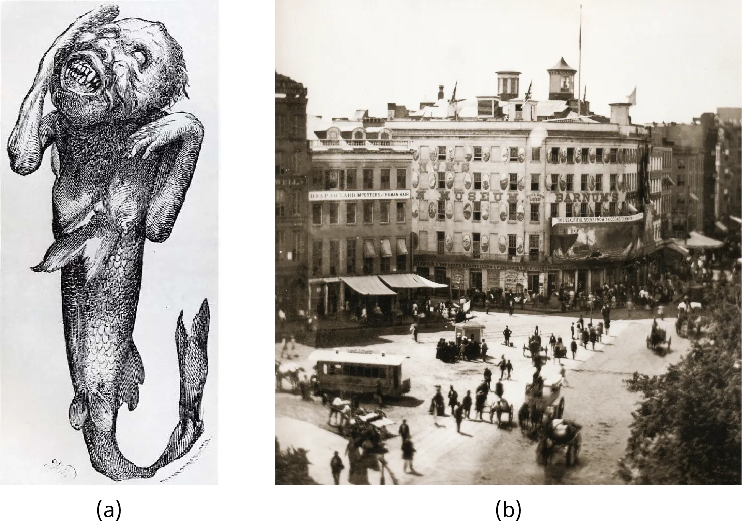 Illustration (a) depicts a creature with the head and upper torso of a young monkey and the bottom half of a fish. Photograph (b) shows crowds of people surrounding P. T. Barnum’s American Museum in New York City.