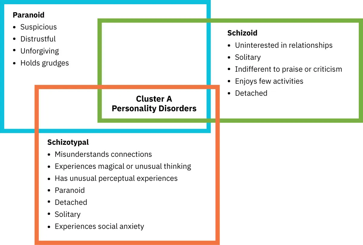 Chart of Cluster A Personality Disorder traits: Paranoid, Schizoid, and Schizotypal.