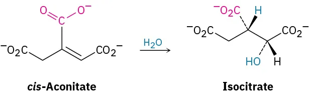 Cis-aconitate ([1Z]-prop-1-ene-1,2,3-tricarboxyate) reacts with water to form isocitrate ([1R,2S]-1-hydroxypropane-1,2,3-tricarboxylic acid).