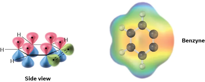 The figure shows the orbital representation and ball-and-stick model in the electrostatic potential map of benzyne. Black and gray spheres represent carbon and hydrogen, respectively.