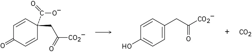 A reactant comprising a cyclohexadiene ring with substituents attached para to the carbonyl groupundergoes a chemical reaction to yield tyrosine and carbon dioxide.