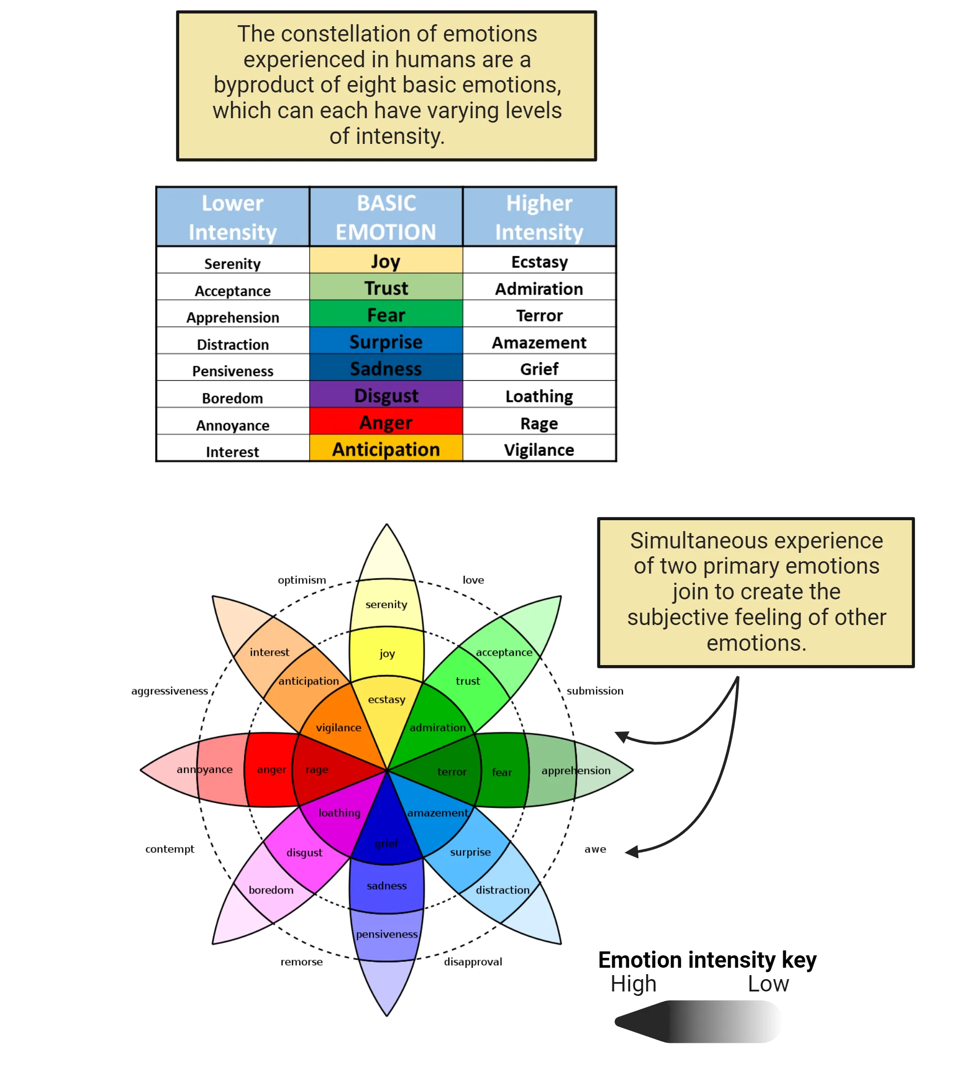 Top: Table of basic emotions with linked higher and lower intensity emotions. Bottom: Flower-shaped multicolor drawing with emotions coded as higher or lower intensity by shading and mixes of emotions represented between petals.