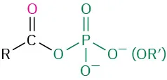 The structure of an acyl phosphate where an R group is attached to a carbonyl group which in turn is attached to an O P O 3 group.