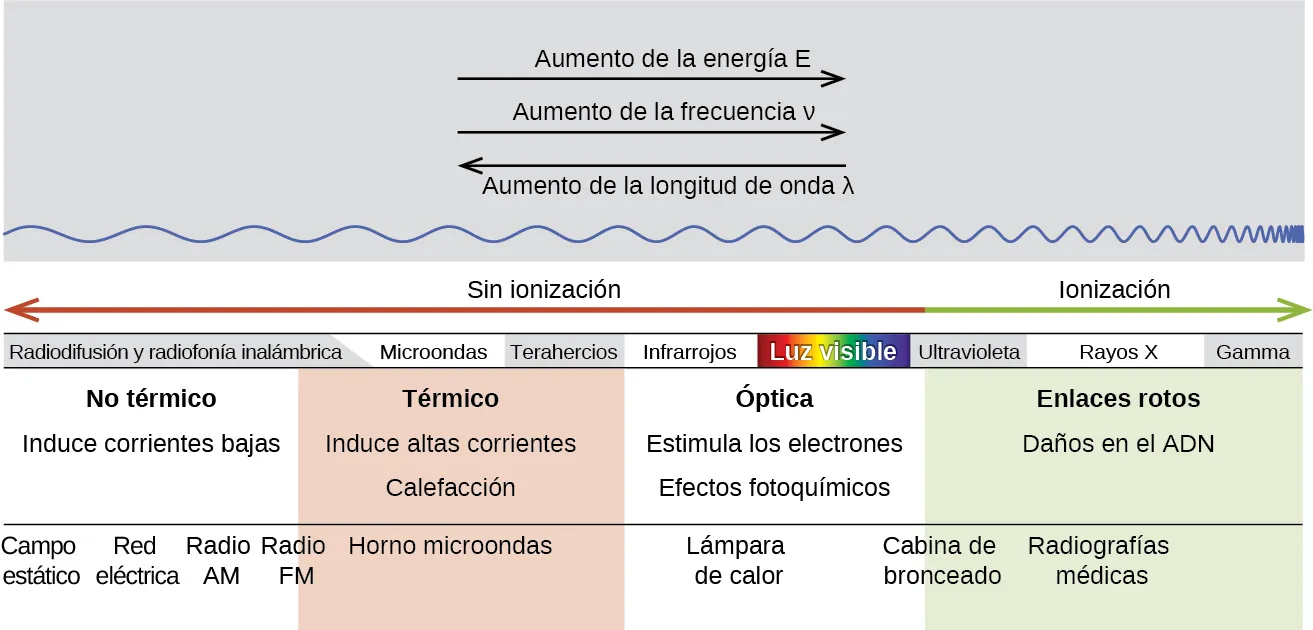 Un diagrama tiene dos secciones verticales. En la parte superior hay dos flechas horizontales orientadas hacia la derecha, marcadas como "energía creciente, E" y "frecuencia creciente, símbolo rho", respectivamente. Debajo de las dos primeras hay una flecha horizontal orientada hacia la izquierda, marcada como "longitud de onda creciente, símbolo lambda". Desde el lado izquierdo del diagrama comienza una línea horizontal y sinusoidal que se desplaza por el diagrama hacia el extremo derecho y se hace cada vez más compacta. La sección inferior del diagrama tiene una flecha horizontal de doble punta a lo largo de su parte superior, con el extremo izquierdo dibujado en rojo y marcado como "no ionizante" y el extremo derecho dibujado en verde y marcado como "ionizante". Debajo hay un conjunto de términos, que se leen de izquierda a derecha como "radio de emisión e inalámbrica", "microondas", "terahercios", "infrarrojos", "luz visible", "ultravioleta", "rayos X" y "gamma". Debajo de esta fila de términos hay cuatro columnas. La primera contiene las frases "no térmico" e "induce corrientes bajas", mientras que en la segunda se lee "térmico" e "induce corrientes altas, calentamiento". La tercera contiene las frases “óptico" y “excita los electrones, foto, guion, efectos químicos", mientras que en la cuarta se lee "ruptura de enlaces" y "daños del A D N". Debajo de estas columnas se leen, de izquierda a derecha, los términos: "campo estático", "línea eléctrica", "radio A M", "radio F M", "horno microondas", "lámpara de calor", "cabina de bronceado" y “rayos X para uso médico".