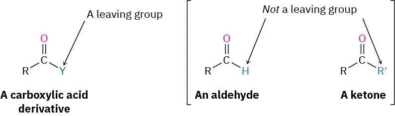 The first structure shows carboxylic acid derivative with a leaving group Y attached to the carbonyl carbon. The second structure shows an aldehyde and the third structure shows a ketone. In both cases, the group attached to the carbonyl carbon does not leave.