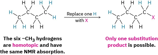 Butane shows six methyl hydrogens homotopic with same N M R absorption. Replace one H with X to form only one substitution product.