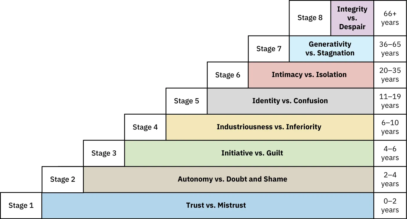 A diagram shows the dilemma and ages ranges for each of Erikson's stages of development.
