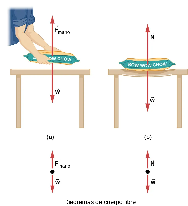 La Figura a muestra a una persona que sostiene una bolsa de comida para perros justo encima de una mesa. La fuerza F subíndice mano apunta hacia arriba y la fuerza w hacia abajo. También se muestran en un diagrama de cuerpo libre. La Figura b muestra la bolsa colocada sobre la mesa, que se hunde con el peso. La fuerza N apunta hacia arriba y w apunta hacia abajo. También se muestran en un diagrama de cuerpo libre.