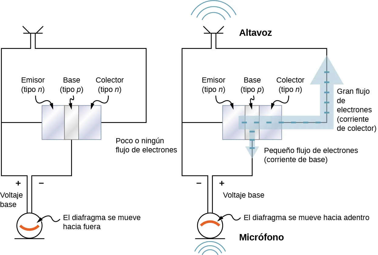 La figura a muestra tres bloques en contacto. De izquierda a derecha están marcados: emisor (tipo n) base (tipo p) y colector (tipo n). Un altavoz se conecta a través del colector y el emisor. Un micrófono se conecta a través del emisor y la base. El diafragma se mueve hacia fuera. El voltaje a través del micrófono está marcado como voltaje base. Es negativo en la base. En la figura se marca poco o ningún flujo de electrones. La figura b muestra una disposición similar a la de la figura a. Una flecha gruesa parte del emisor, atraviesa los otros dos bloques, sale del colector y recorre el bucle del altavoz. La flecha está marcada como flujo grande de electrones, corriente de colector. Una flecha más fina desde la base se dirige al bucle del micrófono. Está marcada como flujo pequeño de electrones, corriente de base. La polaridad del voltaje base a través del micrófono es opuesta a la de la figura a. El micrófono está marcado como diafragma y se mueve hacia adentro. Se muestra el altavoz que emite ondas sonoras.
