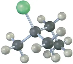 A ball-and-stick model of an alkyl halide comprising a four-carbon chain. The gray, black, and green spheres represent hydrogen, carbon, and chlorine, respectively.