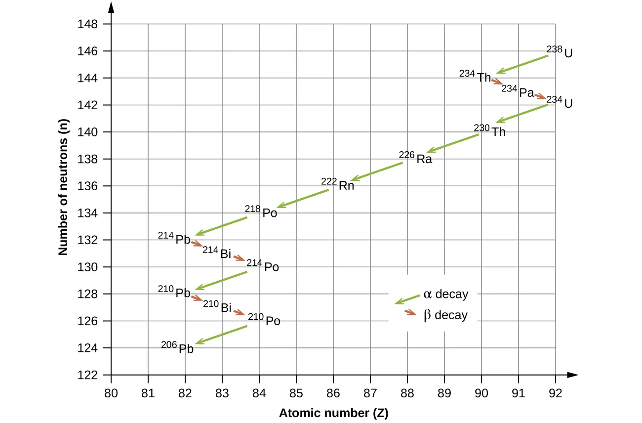 A graph is shown where the x-axis is labeled “Number of neutrons, open parenthesis, n, close parenthesis” and has values of 122 to 148 in increments of 2. The y-axis is labeled “Atomic number” and has values of 80 to 92 in increments of 1. Two types of arrows are used in this graph to connect the points. Green arrows are labeled as “alpha decay” while red arrows are labeled “beta decay.” Beginning at the point “92, 146” that is labeled “superscript 238, U,” a green arrow connects this point to the second point “90, 144” which is labeled “superscript 234, T h.” A red arrow connect this to the third point “91, 143” which is labeled “superscript 234, P a” which is connected to the fourth point “92, 142” by a red arrow and which is labeled “superscript 234, U.” A green arrow leads to the next point, “90, 140” which is labeled “superscript 230, T h” and is connected by a green arrow to the sixth point, “88, 138” which is labeled “superscript 226, R a” that is in turn connected by a green arrow to the seventh point “86, 136” which is labeled “superscript 222, Ra.” The eighth point, at “84, 134” is labeled “superscript 218, P o” and has green arrows leading to it and away from it to the ninth point “82, 132” which is labeled “superscript 214, Pb” which is connected by a red arrow to the tenth point, “83, 131” which is labeled “superscript 214, B i.” A red arrow leads to the eleventh point “84, 130” which is labeled “superscript 214, P o” and a green arrow leads to the twelvth point “82, 128” which is labeled “superscript 210, P b.” A red arrow leads to the thirteenth point “83, 127” which is labeled “superscript 210, B i” and a red arrow leads to the fourteenth point “84, 126” which is labeled “superscript 210, P o.” The final point is labeled “82, 124” and “superscript 206, P b.”