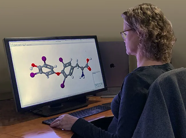 A person views a computer screen showing a 3 D ball and stick model.