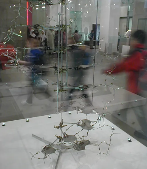 Model of DNA structure. Description in caption.
