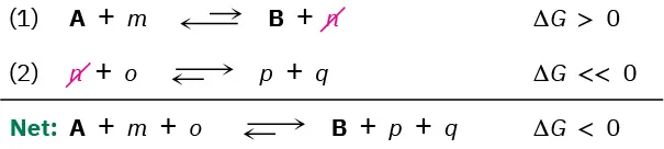Two reversible reactions are combined to give a net overall reversible reaction, A plus m plus give B plus p plus q. The delta G is less than zero.