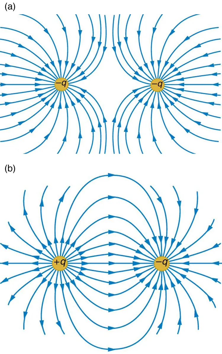In part a, two negative charges of magnitude minus q are placed at some distance. Their field lines are represented by curved arrows terminating into the negative charges. The curves are divergent. In part b, two charges are placed at a distance where one is positive labeled as plus q and other is negative labeled as minus q. The field lines represented by curved arrows start from the positive charge and end at the negative charge. The curves are convergent.