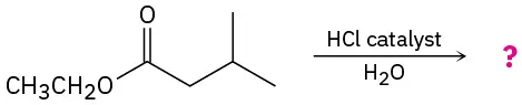 The reaction of ethyl-3-methyl butanoate with aqueous acid gives an unknown product depicted by a question mark.